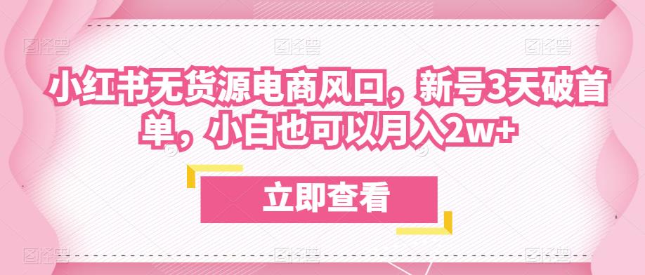 众狼电商余文小红书无货源电商风口,新号3天破首单,小白也可以月入2w+-知乎者也