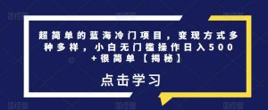 超简单的蓝海冷门项目,变现方式多种多样,小白无门槛操作日入500+很简单【揭秘】-知乎者也