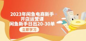 2023年闲鱼电商新手开店运营课:闲鱼新手日出20-30单(18节-实战干货)-知乎者也