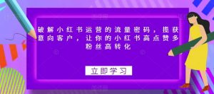 破解小红书运营的流量密码,揽获意向客户,让你的小红书高点赞多粉丝高转化-知乎者也