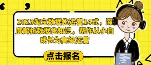 2023淘宝数据化运营14式，深度解析数据化知识，帮你从小白成长为高级运营-知乎者也