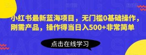 小红书最新蓝海项目，无门槛0基础操作，刚需产品，操作得当日入500+非常简单【揭秘】-知乎者也