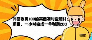 外面收费188的美团准时宝赔付项目，一小时完成一单利润200【仅揭秘】-知乎者也