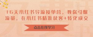 16天小红书导流接单营,教你引爆流量,在小红书精准获客+转化成交-知乎者也