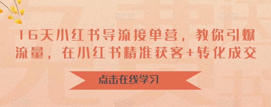 16天小红书导流接单营，教你引爆流量，在小红书精准获客+转化成交-知乎者也