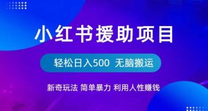 小红书援助项目新奇玩法，简单暴力，无脑搬运轻松日入500【揭秘】-知乎者也