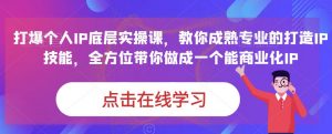 蟹老板·打爆个人IP底层实操课,教你成熟专业的打造IP技能,全方位带你做成一个能商业化IP-知乎者也
