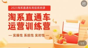 冠东·2023淘系直通车高级系统课,实操性,系统性,实时性,直通车完整体系教学-知乎者也