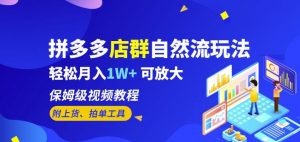 拼多多店群自然流玩法，轻松月入1W+保姆级视频教程（附上货、拍单工具）-知乎者也
