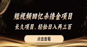 短视频回忆杀撸金项目,长久项目,轻松日入两三张【揭秘】-知乎者也