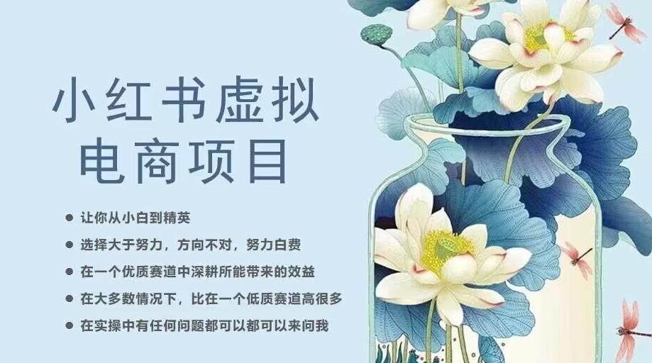 小红书虚拟电商从0到1,让你从小白到精英(20节实操课程)-知乎者也