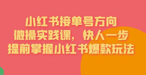 接单号方向·小红书微操实践课,快人一步,提前掌握小红书爆款玩法-知乎者也