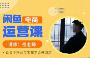 岳老师·闲鱼电商运营课,让每个粉丝宝宝都学会开网店-知乎者也