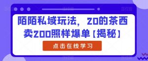 陌陌私域玩法，20的茶西卖200照样爆单【揭秘】-知乎者也