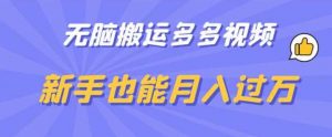 无脑搬运多多视频,新手也能月入过万【揭秘】-知乎者也