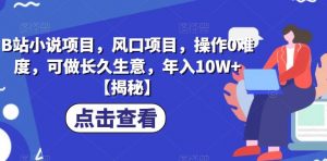 B站小说项目,风口项目,操作0难度,可做长久生意,年入10W+【揭秘】-知乎者也