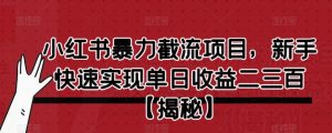 小红书暴力截流项目,新手快速实现单日收益二三百【仅揭秘】-知乎者也