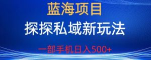 蓝海项目,探探私域新玩法,一部手机日入500+很轻松【揭秘】-知乎者也