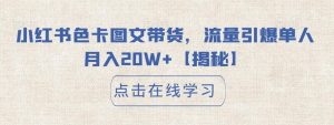 小红书色卡图文带货,流量引爆单人月入20W+【揭秘】-知乎者也