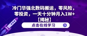 冷门华强北数码搬运,零风险,零投资,一天十分钟月入1W+【揭秘】-知乎者也