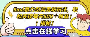 Soul暴力引流男粉玩法，轻松实现每天500＋收益！【揭秘】-知乎者也