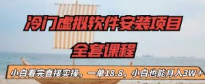 冷门虚拟软件安装项目，一单18.8，小白也能月入3W＋【揭秘】-知乎者也