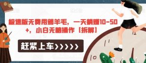 极速版无费用薅羊毛，一天躺赚10-50+，小白无脑操作【拆解】-知乎者也