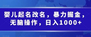 婴儿起名改名,暴力掘金,无脑操作,日入1000+【揭秘】-知乎者也