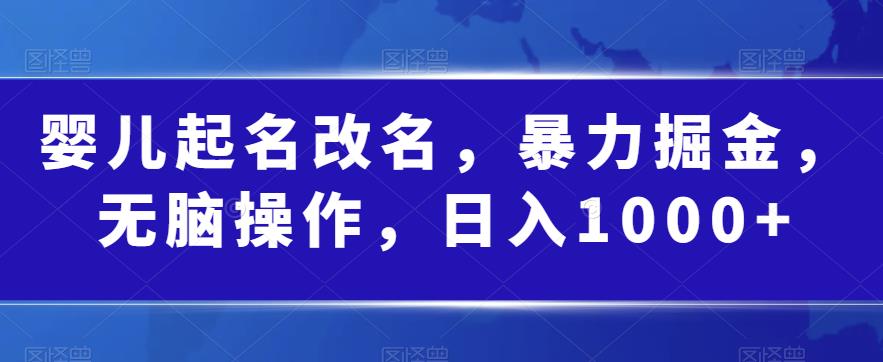 婴儿起名改名，暴力掘金，无脑操作，日入1000+【揭秘】-知乎者也