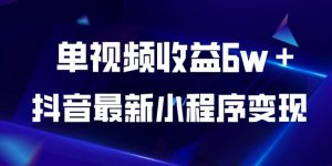抖音最新小程序变现项目,单视频收益6w+,小白可做【揭秘】-知乎者也