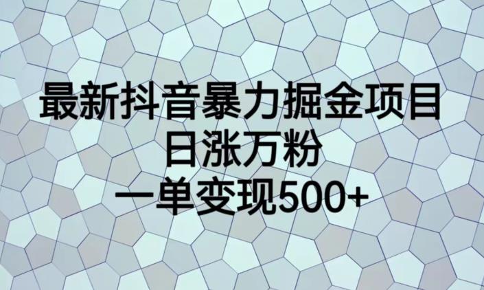 最新抖音暴力掘金项目，日涨万粉，一单变现500+【揭秘】-知乎者也