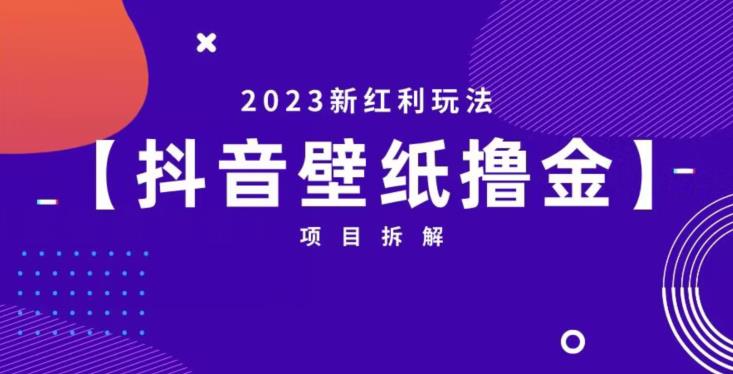 抖音壁纸小程序创作者撸金项目，2023新红利玩法【项目拆解】-知乎者也