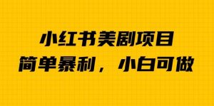 外面卖1980的小红书美剧项目，单日收益1000＋，小众暴利的赛道【揭秘】-知乎者也