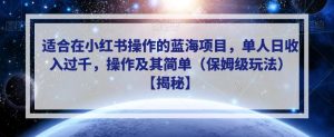 适合在小红书操作的蓝海项目，单人日收入过千，操作及其简单（保姆级玩法）【揭秘】-知乎者也