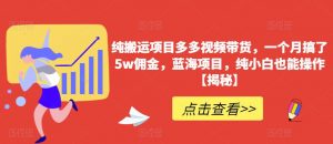 纯搬运项目多多视频带货,一个月搞了5w佣金,蓝海项目,纯小白也能操作【揭秘】-知乎者也