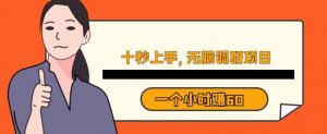 十秒钟上手,一个小时60元暴利无脑调研项目【揭秘】-知乎者也