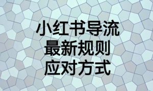 小红书导流最新规则应对方式【揭秘】-知乎者也