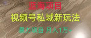 蓝海项目,视频号私域新玩法,暴力项目月入1万+【揭秘】-知乎者也