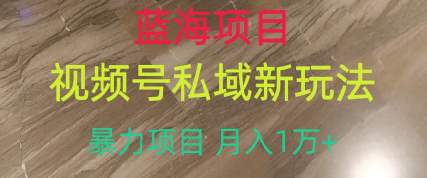 蓝海项目,视频号私域新玩法,暴力项目月入1万+【揭秘】-知乎者也
