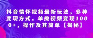抖音情怀视频最新玩法，多种变现方式，单挑视频变现1000+，操作及其简单【揭秘】-知乎者也