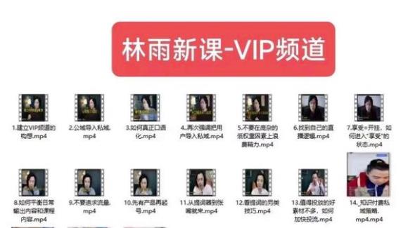 林雨新课VIP频道,玩赚私域/朋友圈/社群-知乎者也