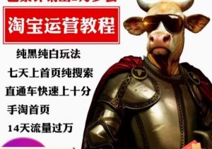 猫老师·淘系算法逆向解密，​纯黑纯白玩法，七天上首页纯搜索，手淘首页14天流量过万-知乎者也