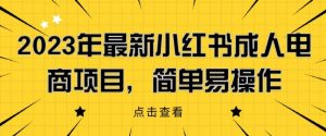2023年最新小红书成人电商项目,简单易操作【详细教程】【揭秘】-知乎者也