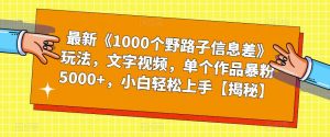最新《1000个野路子信息差》玩法，文字视频，单个作品暴粉5000+，小白轻松上手【揭秘】-知乎者也