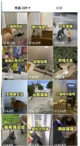 拆解抖音盘点类中视频变现副业项目,视频版一条龙大解析分享给你【视频课程】-知乎者也