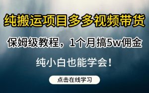 纯搬运项目多多视频带货保姆级教程,1个月搞5w佣金,纯小白也能学会【揭秘】-知乎者也