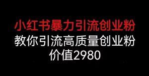 小红书暴力引流创业粉，教你引流高质量创业粉，价值2980【揭秘】-知乎者也