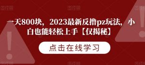 一天800块，2023最新反撸pz玩法，小白也能轻松上手【仅揭秘】-知乎者也