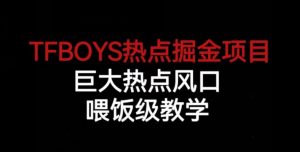 TFBOYS热点掘金项目，巨大热点风口，喂饭级教学-知乎者也