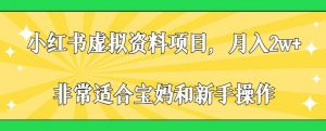 小红书虚拟资料项目,月入2w+,非常适合宝妈和新手操作【揭秘】-知乎者也